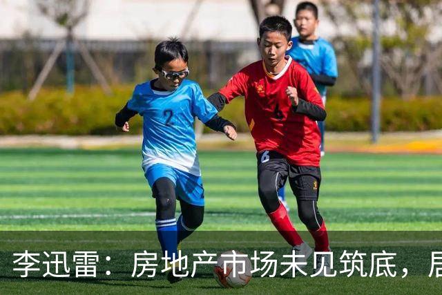 李迅雷：房地产市场未见筑底，居民负债缩减仍在初期